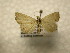  ( - 10-CRBS-995)  @12 [ ] No Rights Reserved (2010) James Sullivan Research Collection of J. B. Sullivan
