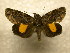  ( - 10-CRBS-1014)  @14 [ ] No Rights Reserved (2010) James Sullivan Research Collection of J. B. Sullivan