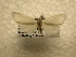  ( - 10-CRBS-1017)  @12 [ ] No Rights Reserved (2010) James Sullivan Research Collection of J. B. Sullivan