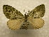  ( - 10-CRBS-1078)  @14 [ ] No Rights Reserved (2010) James Sullivan Research Collection of J. B. Sullivan