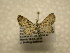  (Eupithecia sp. CR-11 - 10-CRBS-1099)  @11 [ ] No Rights Reserved (2010) James Sullivan Research Collection of J. B. Sullivan