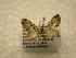  ( - 10-CRBS-1100)  @13 [ ] No Rights Reserved (2010) James Sullivan Research Collection of J. B. Sullivan