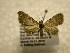  ( - 10-CRBS-1102)  @13 [ ] No Rights Reserved (2010) James Sullivan Research Collection of J. B. Sullivan