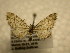  ( - 10-CRBS-1106)  @13 [ ] No Rights Reserved (2010) James Sullivan Research Collection of J. B. Sullivan