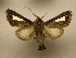  ( - 10-CRBS-1265)  @13 [ ] No Rights Reserved (2010) James Sullivan Research Collection of J. B. Sullivan