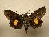  ( - 10-CRBS-1340)  @14 [ ] No Rights Reserved (2010) James Sullivan Research Collection of J. B. Sullivan