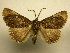  ( - 10-CRBS-1486)  @11 [ ] No Rights Reserved (2010) James Sullivan Research Collection of J. B. Sullivan