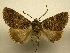  ( - 10-CRBS-1487)  @11 [ ] No Rights Reserved (2010) James Sullivan Research Collection of J. B. Sullivan