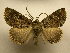  ( - 10-CRBS-1490)  @11 [ ] No Rights Reserved (2010) James Sullivan Research Collection of J. B. Sullivan