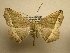  ( - 10-CRBS-1561)  @14 [ ] No Rights Reserved (2010) James Sullivan Research Collection of J. B. Sullivan