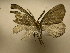 ( - 10-CRBS-1665)  @13 [ ] No Rights Reserved (2010) James Sullivan Research Collection of J. B. Sullivan