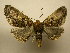  ( - 10-CRBS-1715)  @13 [ ] No Rights Reserved (2010) James Sullivan Research Collection of J. B. Sullivan