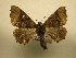  ( - 10-CRBS-1723)  @13 [ ] No Rights Reserved (2010) James Sullivan Research Collection of J. B. Sullivan