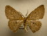  ( - 10-CRBS-1821)  @14 [ ] No Rights Reserved (2010) James Sullivan Research Collection of J. B. Sullivan