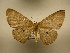 ( - 10-CRBS-1823)  @14 [ ] No Rights Reserved (2010) James Sullivan Research Collection of J. B. Sullivan