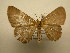  ( - 10-CRBS-1838)  @13 [ ] No Rights Reserved (2010) James Sullivan Research Collection of J. B. Sullivan