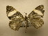  ( - 10-CRBS-1845)  @13 [ ] No Rights Reserved (2010) James Sullivan Research Collection of J. B. Sullivan
