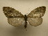  ( - 10-CRBS-1852)  @14 [ ] No Rights Reserved (2010) James Sullivan Research Collection of J. B. Sullivan
