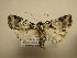  ( - 10-CRBS-1861)  @13 [ ] No Rights Reserved (2010) James Sullivan Research Collection of J. B. Sullivan