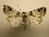  ( - 10-CRBS-1866)  @14 [ ] No Rights Reserved (2010) James Sullivan Research Collection of J. B. Sullivan