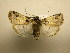  ( - 10-CRBS-1867)  @12 [ ] No Rights Reserved (2010) James Sullivan Research Collection of J. B. Sullivan