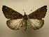  ( - 10-CRBS-1875)  @14 [ ] No Rights Reserved (2010) James Sullivan Research Collection of J. B. Sullivan