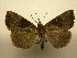  ( - 10-CRBS-1879)  @14 [ ] No Rights Reserved (2010) James Sullivan Research Collection of J. B. Sullivan