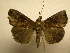  ( - 10-CRBS-1881)  @14 [ ] No Rights Reserved (2010) James Sullivan Research Collection of J. B. Sullivan