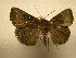  ( - 10-CRBS-1884)  @14 [ ] No Rights Reserved (2010) James Sullivan Research Collection of J. B. Sullivan