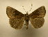  ( - 10-CRBS-1885)  @14 [ ] No Rights Reserved (2010) James Sullivan Research Collection of J. B. Sullivan