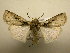  ( - 10-CRBS-1887)  @11 [ ] No Rights Reserved (2010) James Sullivan Research Collection of J. B. Sullivan