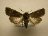  ( - 10-CRBS-2044)  @13 [ ] No Rights Reserved (2010) James Sullivan Research Collection of J. B. Sullivan