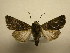  ( - 10-CRBS-2047)  @13 [ ] No Rights Reserved (2010) James Sullivan Research Collection of J. B. Sullivan