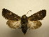  ( - 10-CRBS-2048)  @13 [ ] No Rights Reserved (2010) James Sullivan Research Collection of J. B. Sullivan