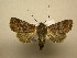  ( - 10-CRBS-2060)  @14 [ ] No Rights Reserved (2010) James Sullivan Research Collection of J. B. Sullivan