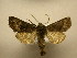  ( - 10-CRBS-2085)  @13 [ ] No Rights Reserved (2010) James Sullivan Research Collection of J. B. Sullivan