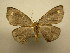  ( - 10-CRBS-2089)  @14 [ ] No Rights Reserved (2010) James Sullivan Research Collection of J. B. Sullivan