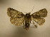  ( - 10-CRBS-2097)  @13 [ ] No Rights Reserved (2010) James Sullivan Research Collection of J. B. Sullivan