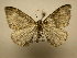  ( - 10-CRBS-2140)  @12 [ ] No Rights Reserved (2010) James Sullivan Research Collection of J. B. Sullivan