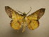  ( - 10-CRBS-2241)  @13 [ ] No Rights Reserved (2010) James Sullivan Research Collection of J. B. Sullivan