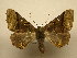  ( - 10-CRBS-2308)  @13 [ ] No Rights Reserved (2010) James Sullivan Research Collection of J. B. Sullivan