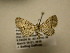  ( - 10-CRBS-2360)  @13 [ ] No Rights Reserved (2010) James Sullivan Research Collection of J. B. Sullivan