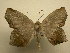 ( - 10-CRBS-2479)  @13 [ ] No Rights Reserved (2010) James Sullivan Research Collection of J. B. Sullivan