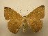  ( - 10-CRBS-2500)  @14 [ ] No Rights Reserved (2010) James Sullivan Research Collection of J. B. Sullivan