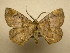  ( - 10-CRBS-2554)  @13 [ ] No Rights Reserved (2010) James Sullivan Research Collection of J. B. Sullivan