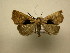  ( - 10-CRBS-2649)  @13 [ ] No Rights Reserved (2010) James Sullivan Research Collection of J. B. Sullivan