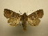  ( - 10-CRBS-2692)  @13 [ ] No Rights Reserved (2010) James Sullivan Research Collection of J. B. Sullivan