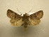  ( - 10-CRBS-2693)  @13 [ ] No Rights Reserved (2010) James Sullivan Research Collection of J. B. Sullivan