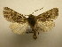  ( - 10-CRBS-2702)  @13 [ ] No Rights Reserved (2010) James Sullivan Research Collection of J. B. Sullivan