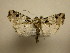  ( - 10-CRBS-2751)  @12 [ ] No Rights Reserved (2010) James Sullivan Research Collection of J. B. Sullivan